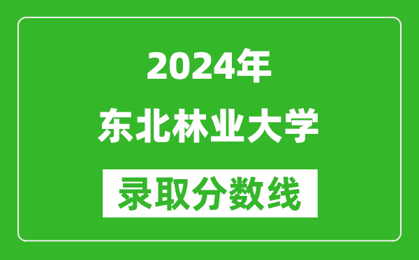 2024浙江高考多少分可以上東北林業(yè)大學(xué)（含分?jǐn)?shù)線、位次）