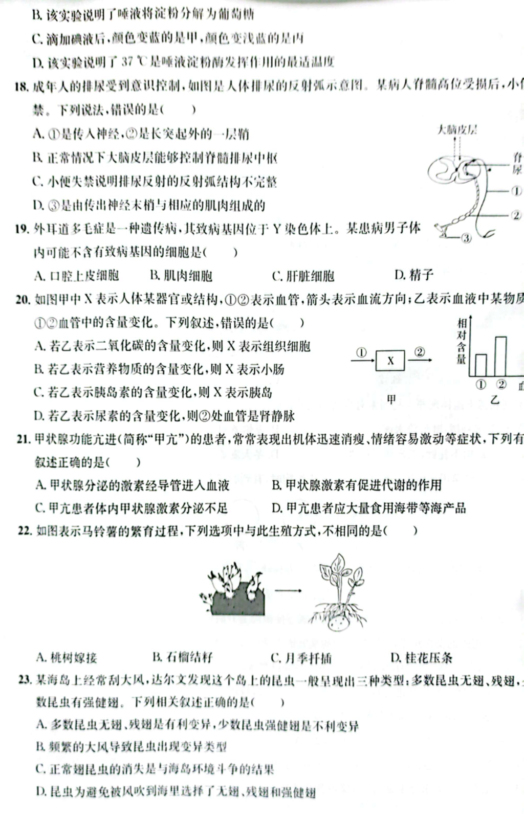 2024年?yáng)|營(yíng)中考生物試卷真題及答案解析