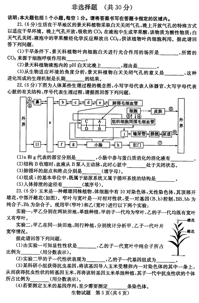 2024年菏澤中考生物試卷真題及答案解析