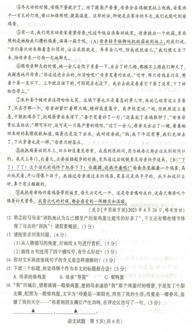 2024年徐州中考語(yǔ)文試卷真題及答案解析