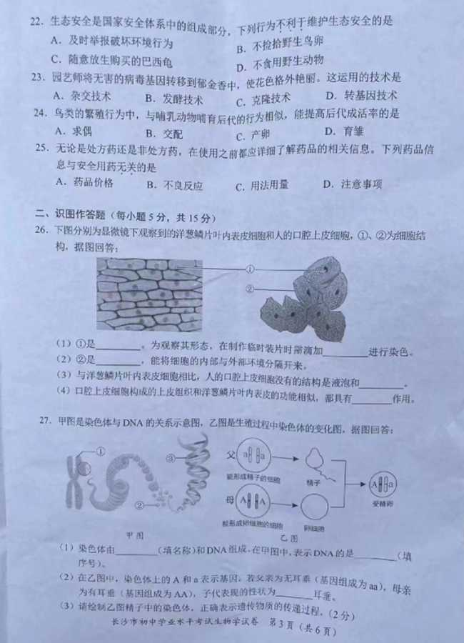 2024年長沙中考生物試卷真題及答案解析