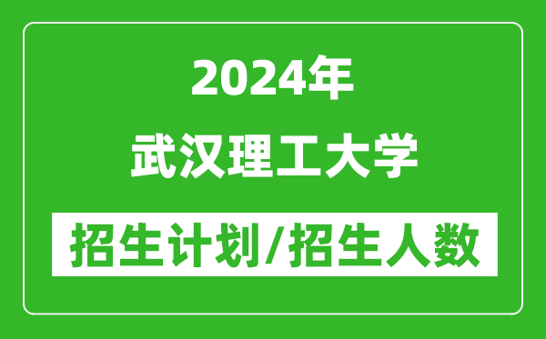 2024年武漢理工大學(xué)各省招生計劃及各專業(yè)招生人數(shù)是多少