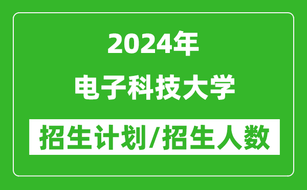 2024年電子科技大學(xué)各省招生計(jì)劃及各專業(yè)招生人數(shù)是多少