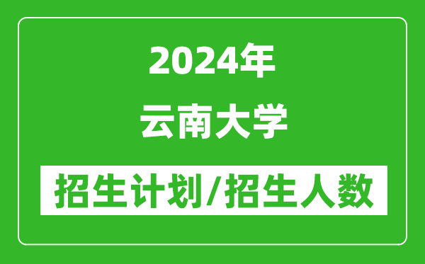 2024年云南大學(xué)各省招生計劃及各專業(yè)招生人數(shù)是多少