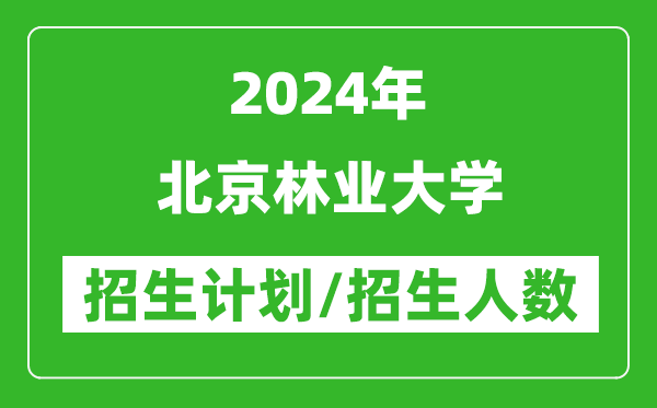 2024年北京林業(yè)大學(xué)各省招生計劃及各專業(yè)招生人數(shù)是多少