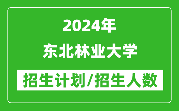 2024年東北林業(yè)大學各省招生計劃及各專業(yè)招生人數是多少