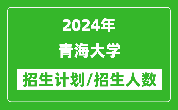 2024年青海大學(xué)各省招生計(jì)劃及各專業(yè)招生人數(shù)是多少