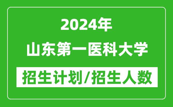 2024年山東第一醫(yī)科大學(xué)各省招生計(jì)劃及各專(zhuān)業(yè)招生人數(shù)是多少