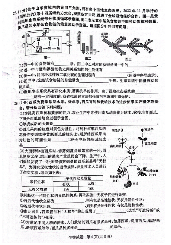 2024年濱州中考生物試卷真題及答案解析