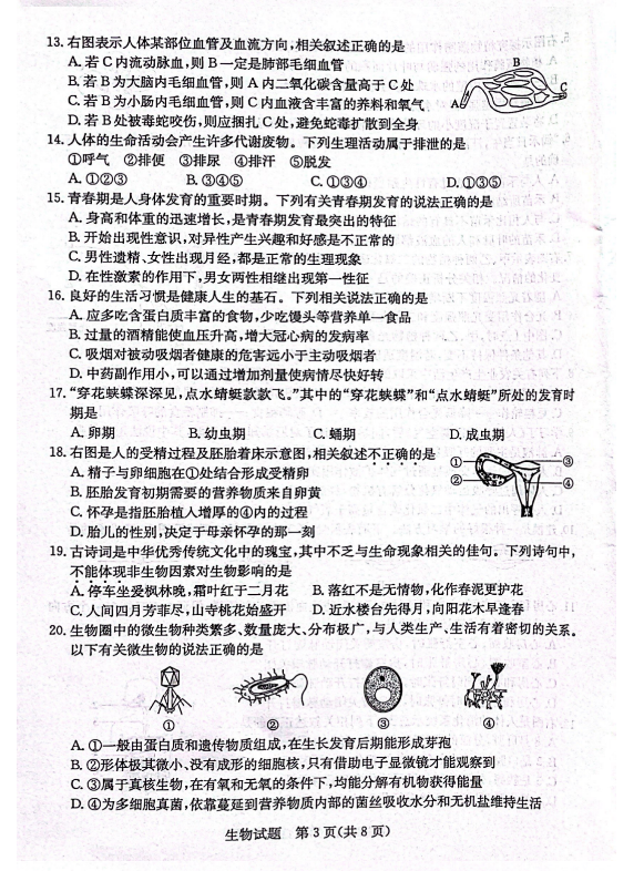 2024年濱州中考生物試卷真題及答案解析