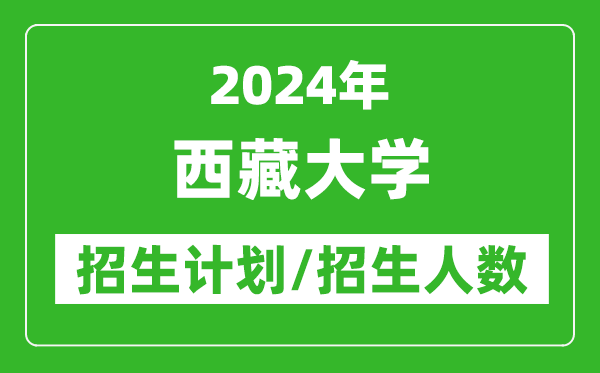 2024年西藏大學(xué)各省招生計劃及各專業(yè)招生人數(shù)是多少