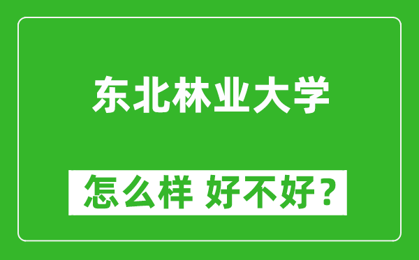 東北林業(yè)大學(xué)怎么樣 好不好？附最新全國排名情況