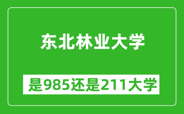 東北林業(yè)大學(xué)是985還是211大學(xué)？