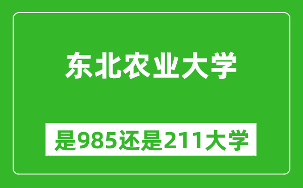 東北農(nóng)業(yè)大學(xué)是985還是211大學(xué)？