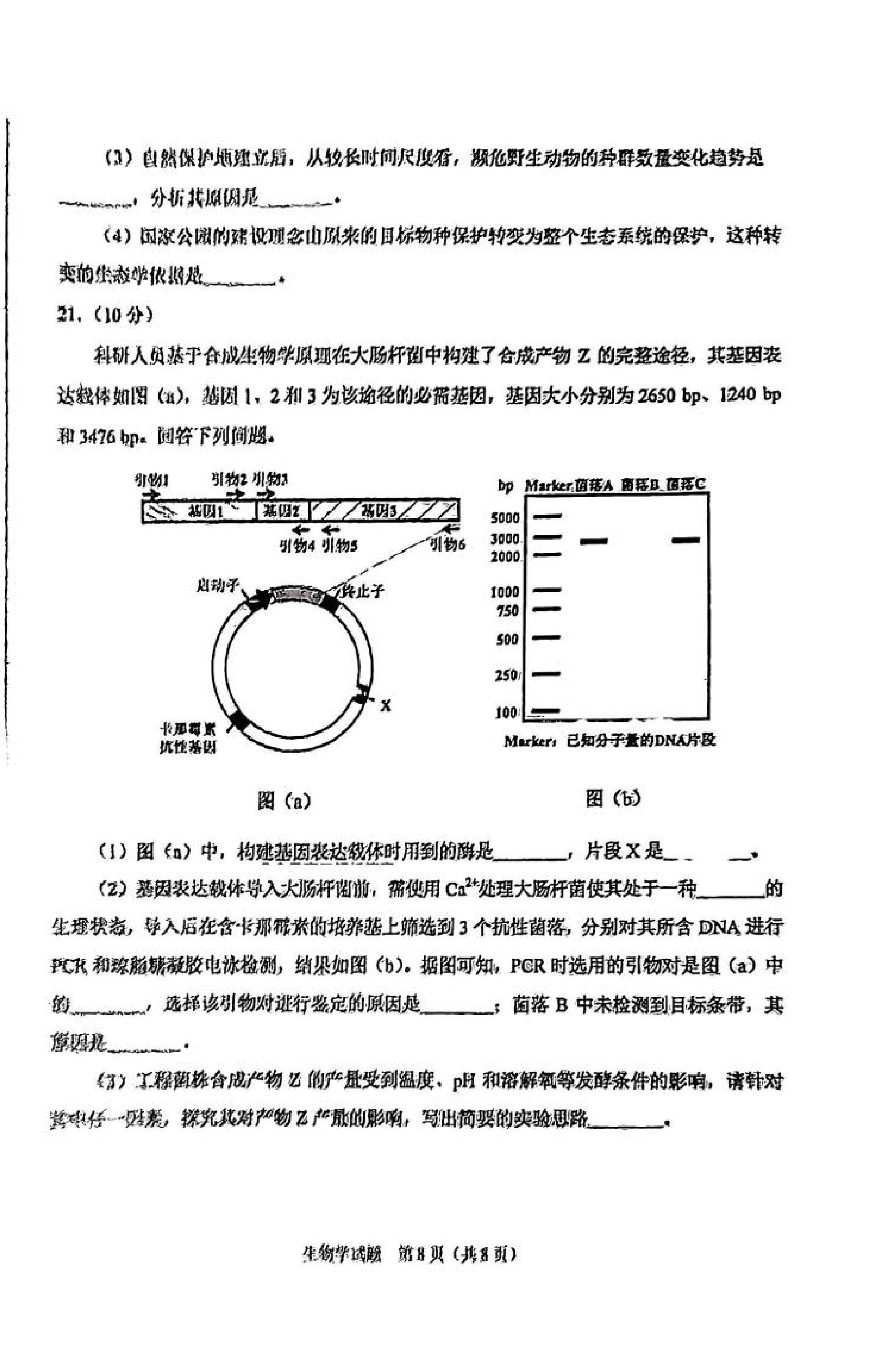 2025年八省聯(lián)考生物學(xué)試卷及答案解析