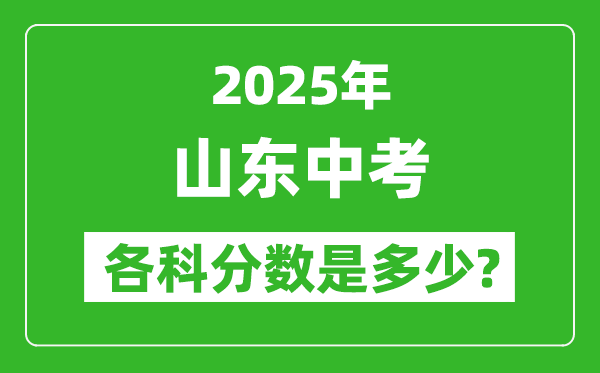2025山東中考科目及各科分?jǐn)?shù)是多少？