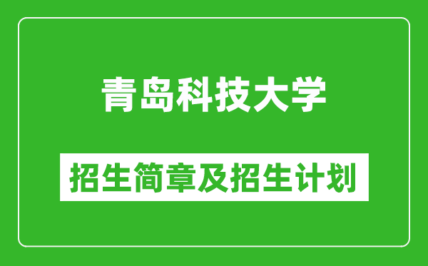 青島科技大學(xué)2025年招生簡章,各省高考招生計劃人數(shù)一覽表