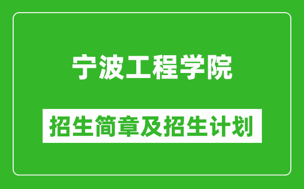 寧波工程學(xué)院2025年招生簡章,各省高考招生計(jì)劃人數(shù)一覽表