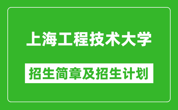 上海工程技術(shù)大學(xué)2025年招生簡(jiǎn)章,各省高考招生計(jì)劃人數(shù)一覽表