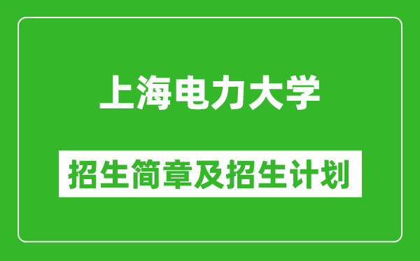 上海電力大學(xué)2025年招生簡(jiǎn)章,各省高考招生計(jì)劃人數(shù)一覽表