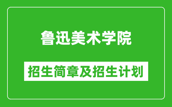 魯迅美術學院2025年招生簡章,各省高考招生計劃人數(shù)一覽表