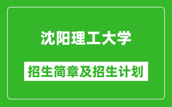 沈陽理工大學(xué)2025年招生簡(jiǎn)章,各省高考招生計(jì)劃人數(shù)一覽表