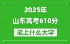 2025山東高考610分左右的大學(xué)一覽表（含理科+文科）