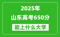 2025山東高考650分左右的大學(xué)一覽表（含理科+文科）