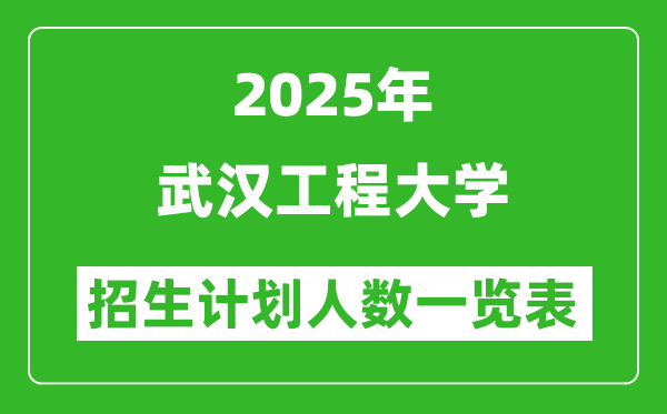 2025年武漢工程大學在各省招生計劃人數(shù)一覽表