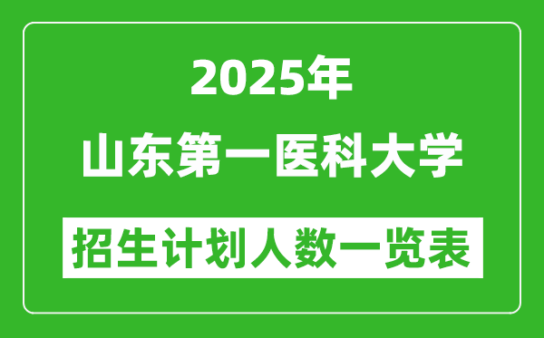2025年山東第一醫(yī)科大學(xué)在各省招生計(jì)劃人數(shù)一覽表