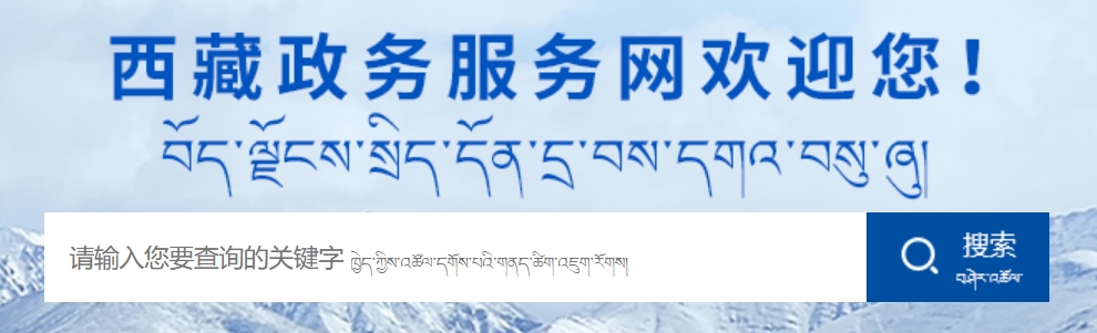 2025年西藏政務(wù)服務(wù)網(wǎng)官網(wǎng)成績查詢?nèi)肟?https://www.xzzwfw.gov.cn