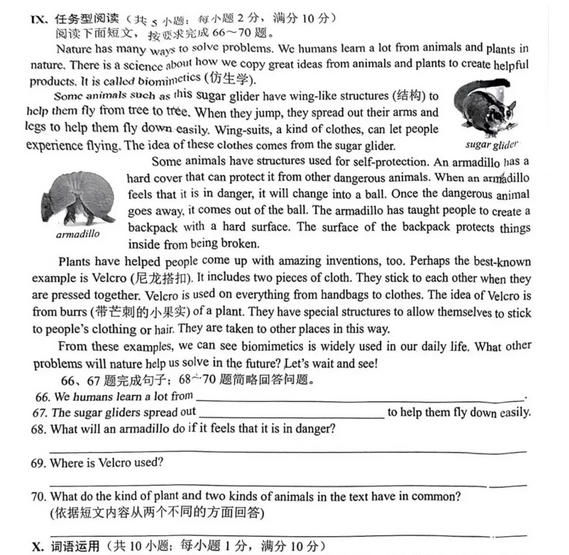 2025年河北中考英語試卷真題及答案解析