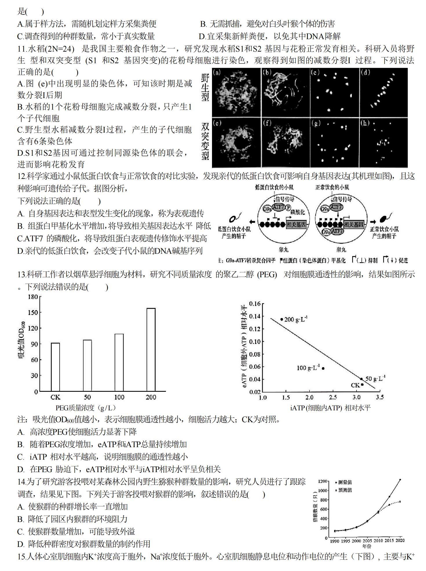 2025年廣西高考生物試卷真題及答案解析(完整版)