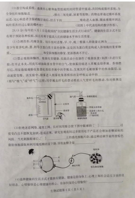 2025年山東中考生物試卷真題及答案解析