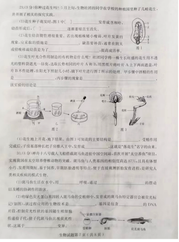 2025年山東中考生物試卷真題及答案解析