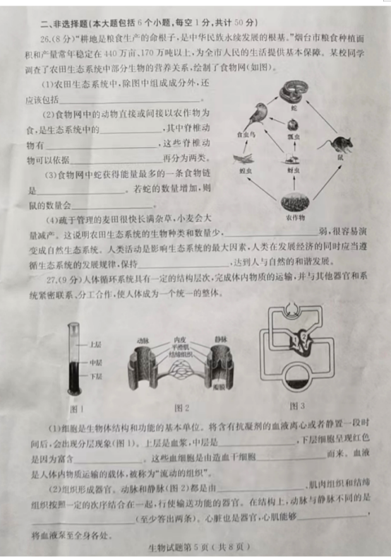 2025年山東中考生物試卷真題及答案解析