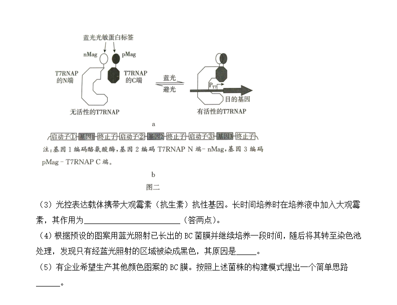2025年廣東高考生物試卷真題及答案解析(完整版)