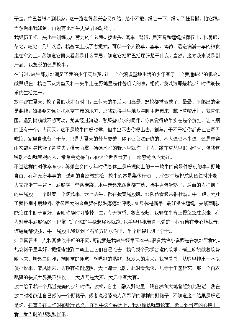 2025年新高考一卷語文試卷真題及答案解析(完整版)