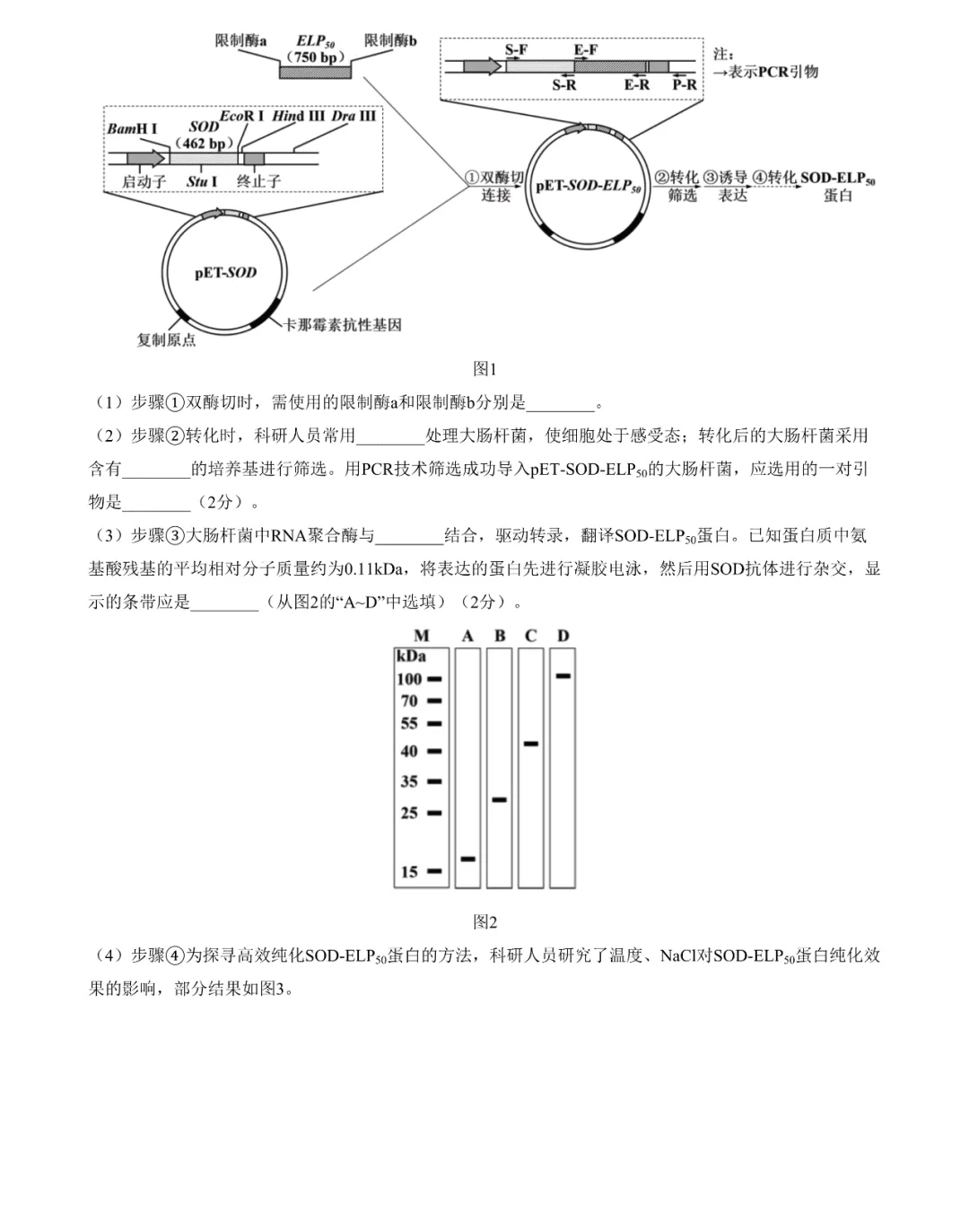 2025年江蘇高考生物試卷真題及答案解析(完整版)