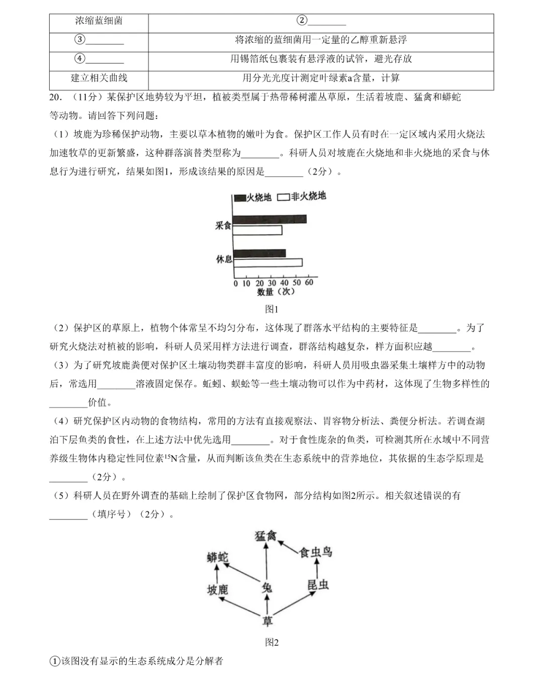 2025年江蘇高考生物試卷真題及答案解析(完整版)