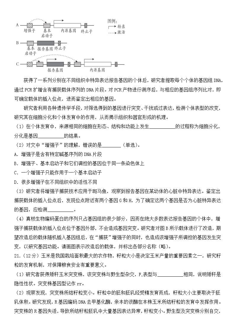 2025年北京高考生物試卷真題及答案解析(完整版)