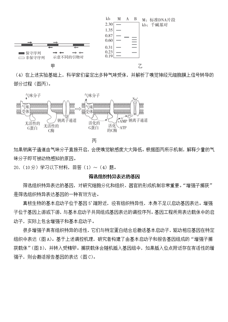 2025年北京高考生物試卷真題及答案解析(完整版)