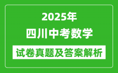 2025年四川中考數(shù)學(xué)試卷真題及答案解析(考后更新)